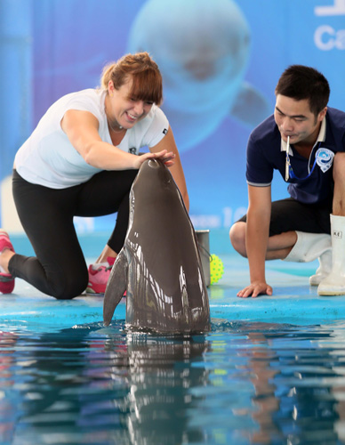 伍的士气 伍的士气