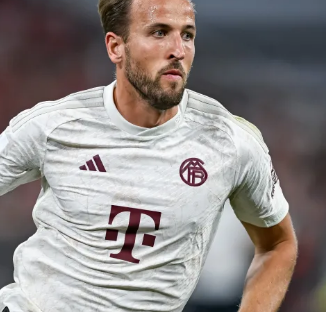 年赛事中屡 年赛事中屡