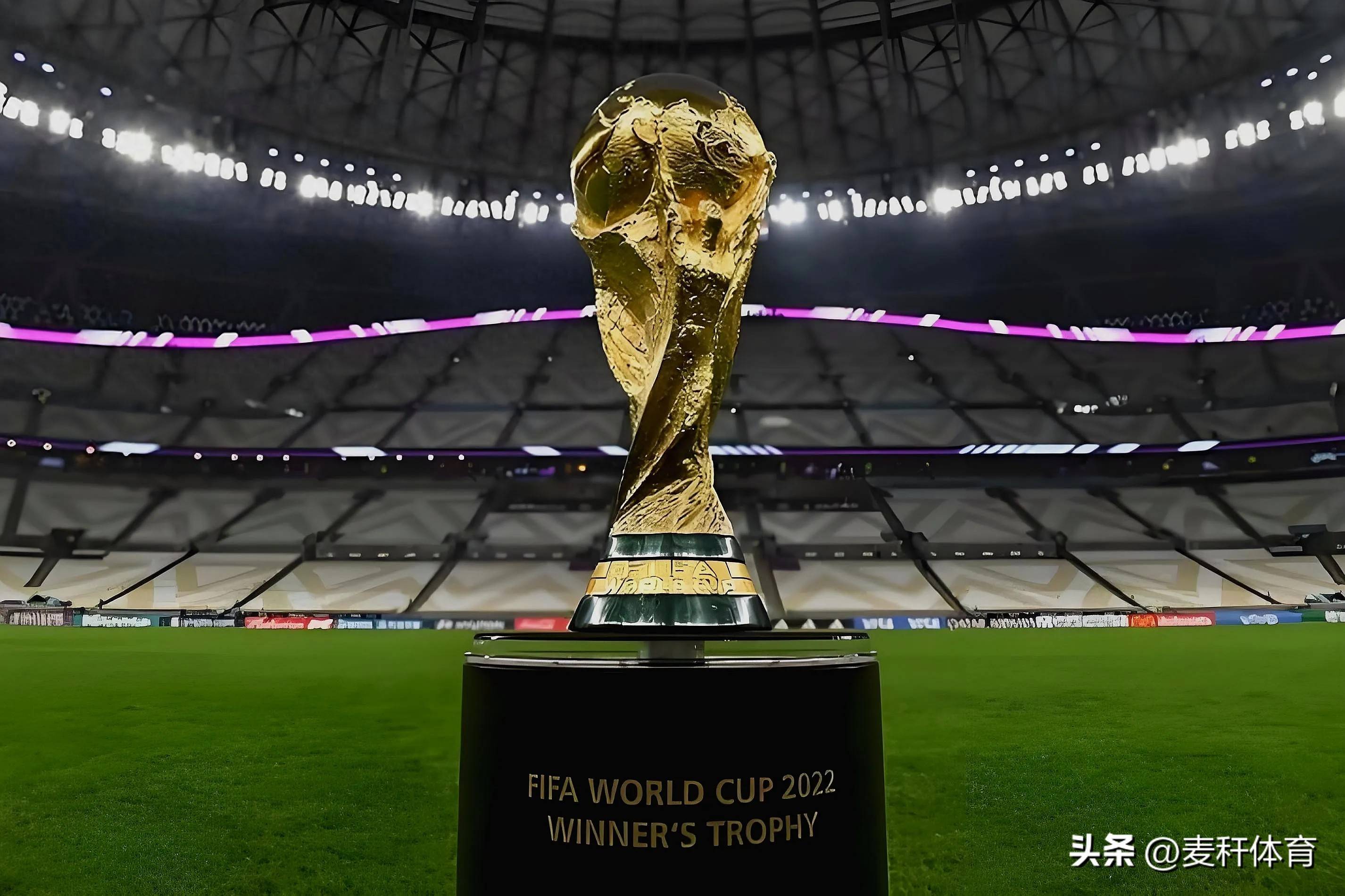 观赛抓手 观赛抓手